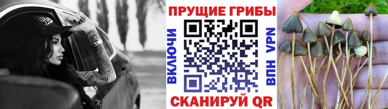 Псилоцибиновые грибы MAGIC MUSHROOMS Соликамск
