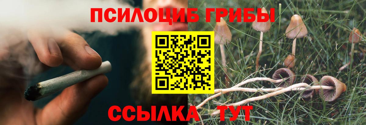 Галлюциногенные грибы Cubensis Соликамск