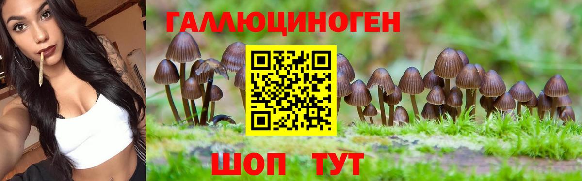 Соликамск  Галлюциногенные грибы прущие грибы  дарнет шоп  Галлюциногенные грибы MAGIC MUSHROOMS  Вход с VPN 